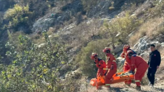 真危险！一家五口按AI推荐爬野山，男子滑落，重伤