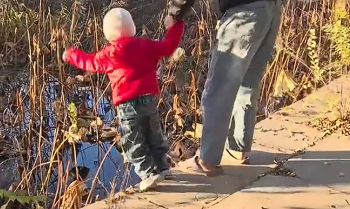 和爸爸牵手走的小男孩，到河边突然毫无征兆地往水里跳