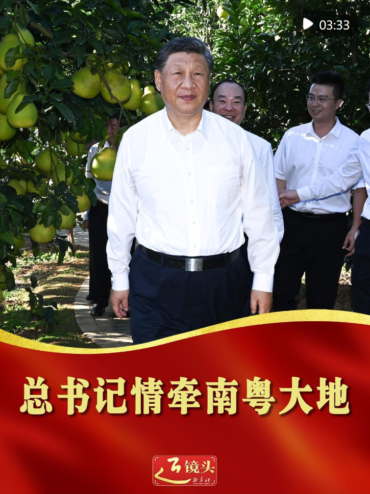 近镜头｜总书记情牵南粤大地