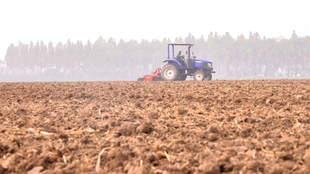 汝南：抗湿抢时播冬麦 确保来年好收成
