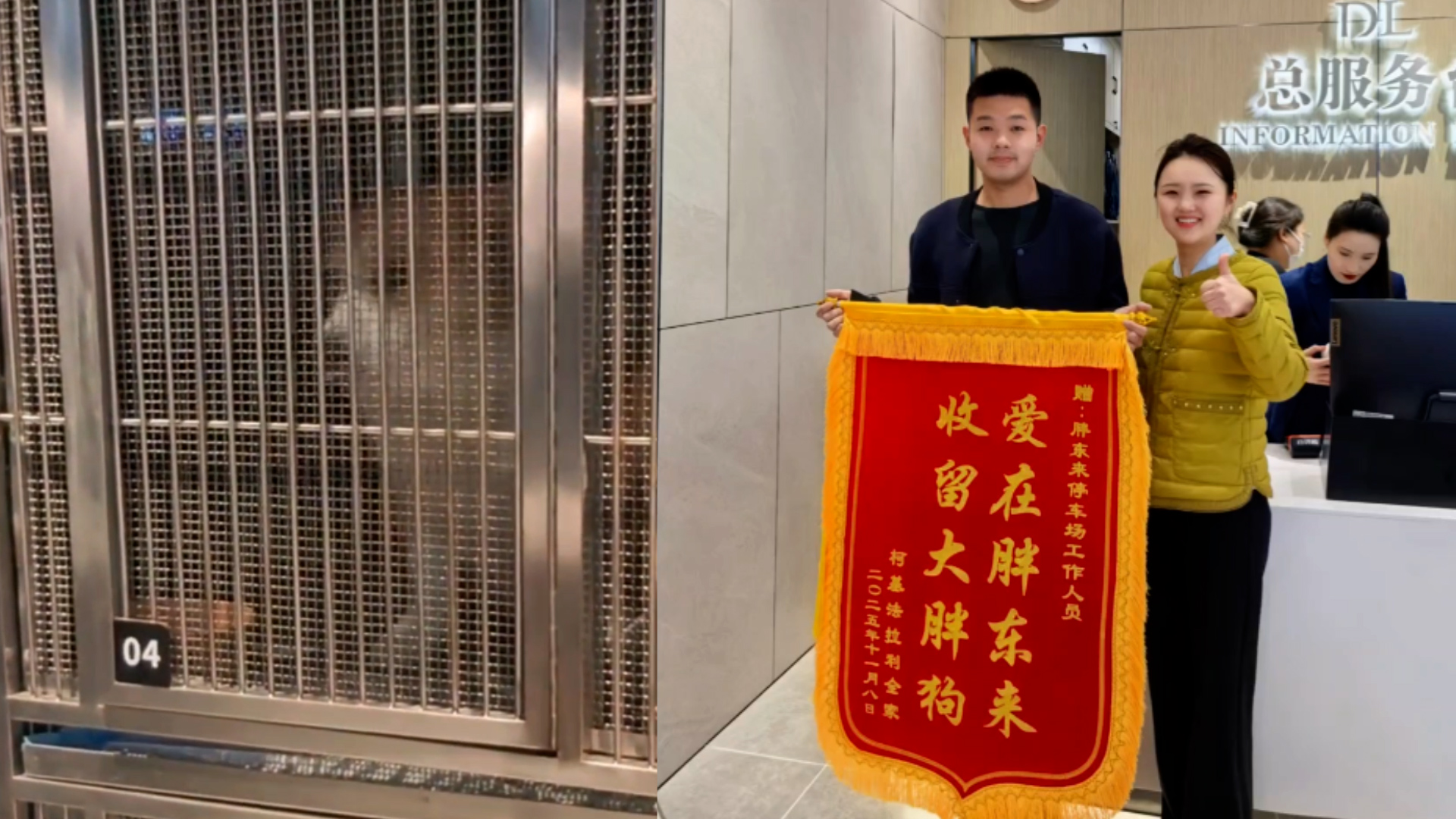 狗狗走失被胖东来员工收留，当事人：把爱具象化了