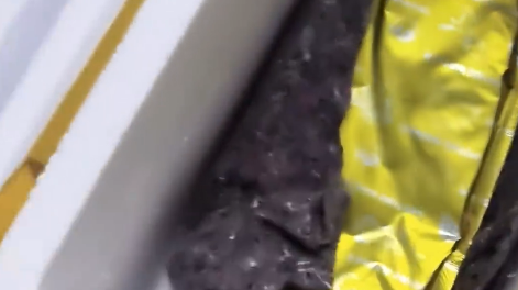 傻眼！网购50条热带鱼被加热包煮熟了