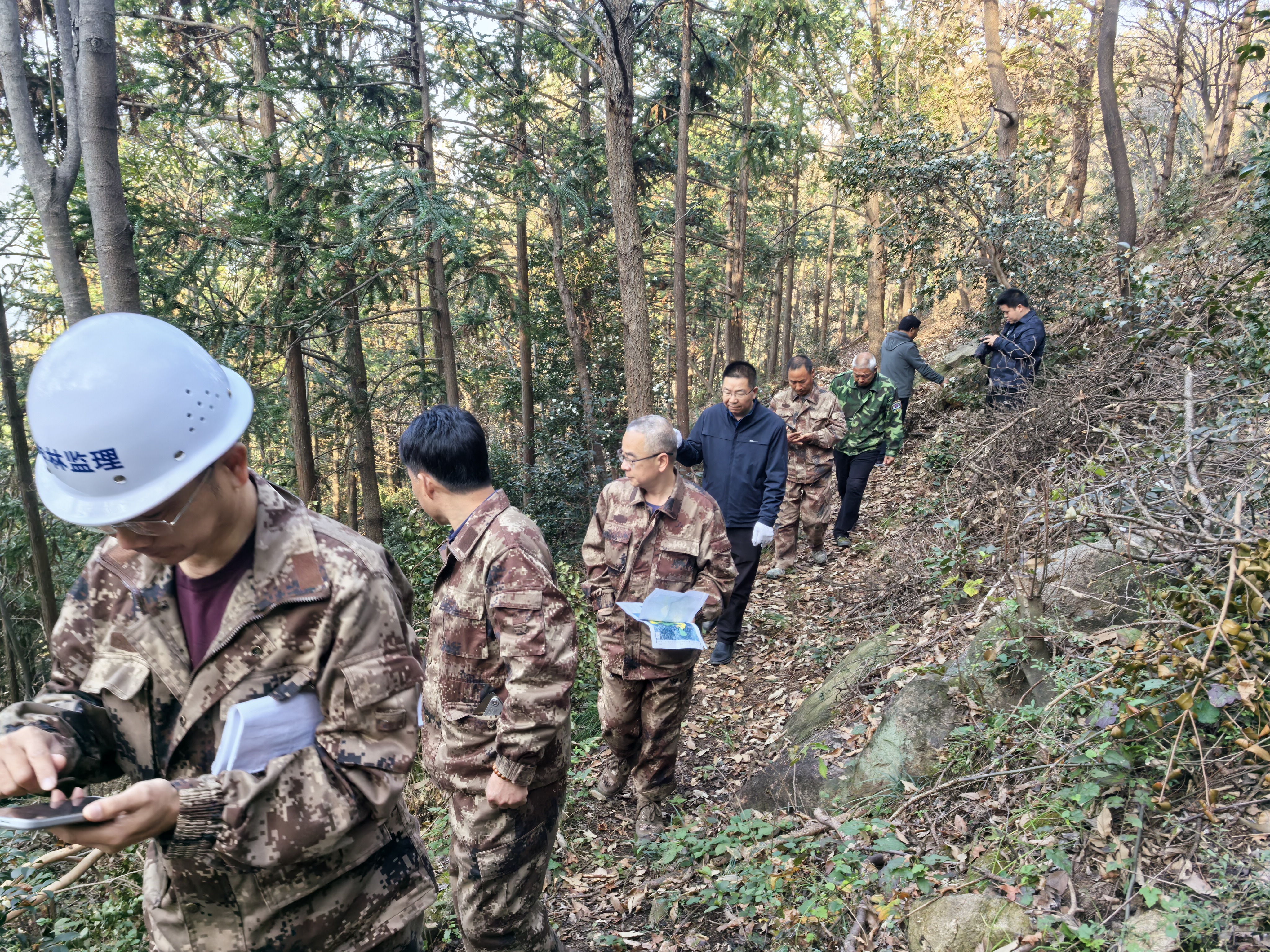 守护2.15万亩森林！南湾林场开展专项督导检查