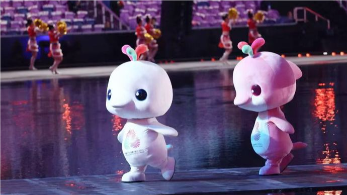 全运会“大湾鸡”火出圈 登封鹅坡武校“武”出顶流吉祥物