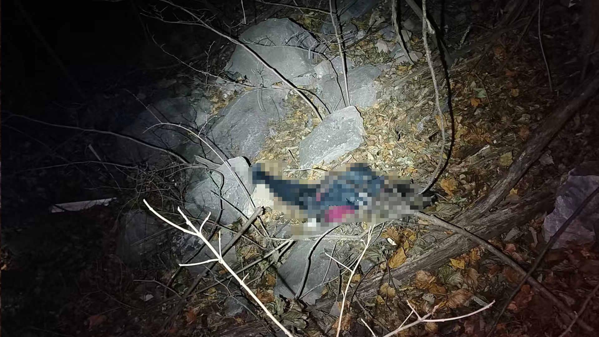 南太行失联43天男子确认遇难 家属将连夜带其遗体回永城