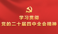 学习贯彻党的二十届四中全会精神