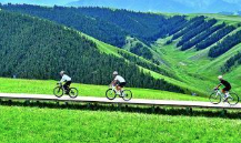 好评中国丨“绿潮”之下，青年正在重写生活新算法