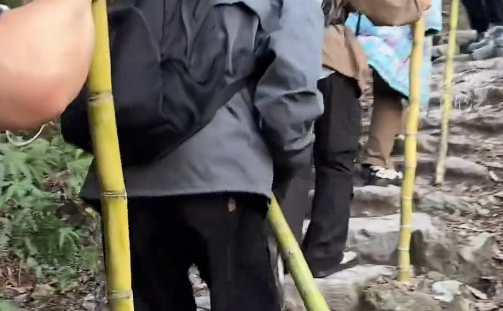最实用的登山杖竟是甘蔗！经济实惠，能食用又实用