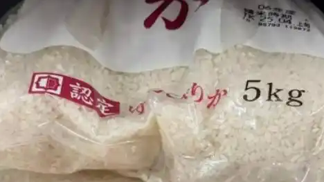 中国大米出现在日本商店显著位置：售价上涨数倍