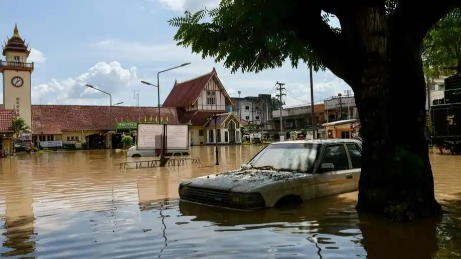 泰国遇300年来最严重洪灾：男子爬上电线“走钢丝”避险