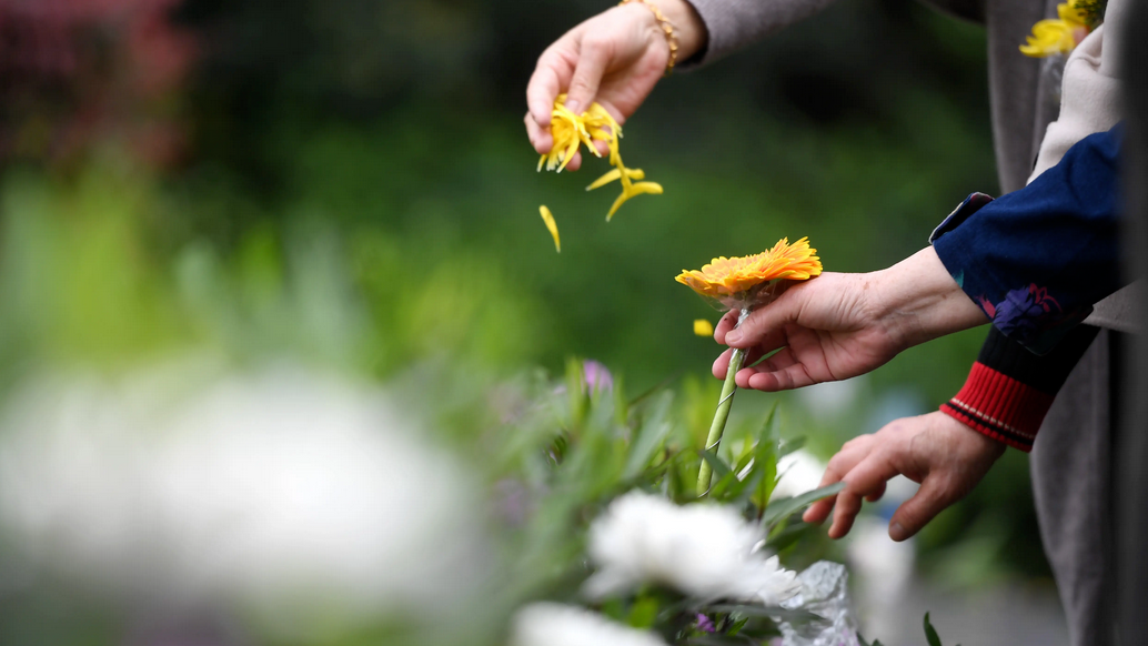 河南省探索推行殡葬基础服务“一口价”模式