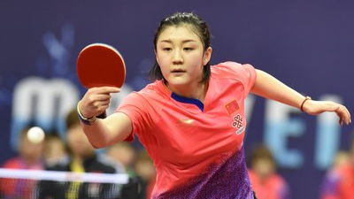 陈梦父母成立体育公司