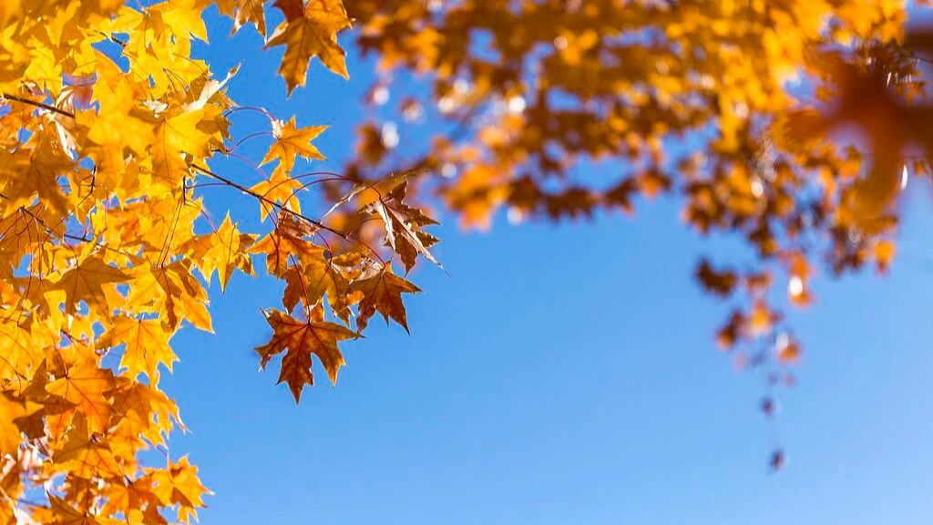 气温回升！6日河南多地最高气温将再迎15℃+