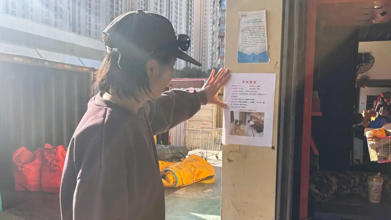 职业寻宠师月收入可达万元