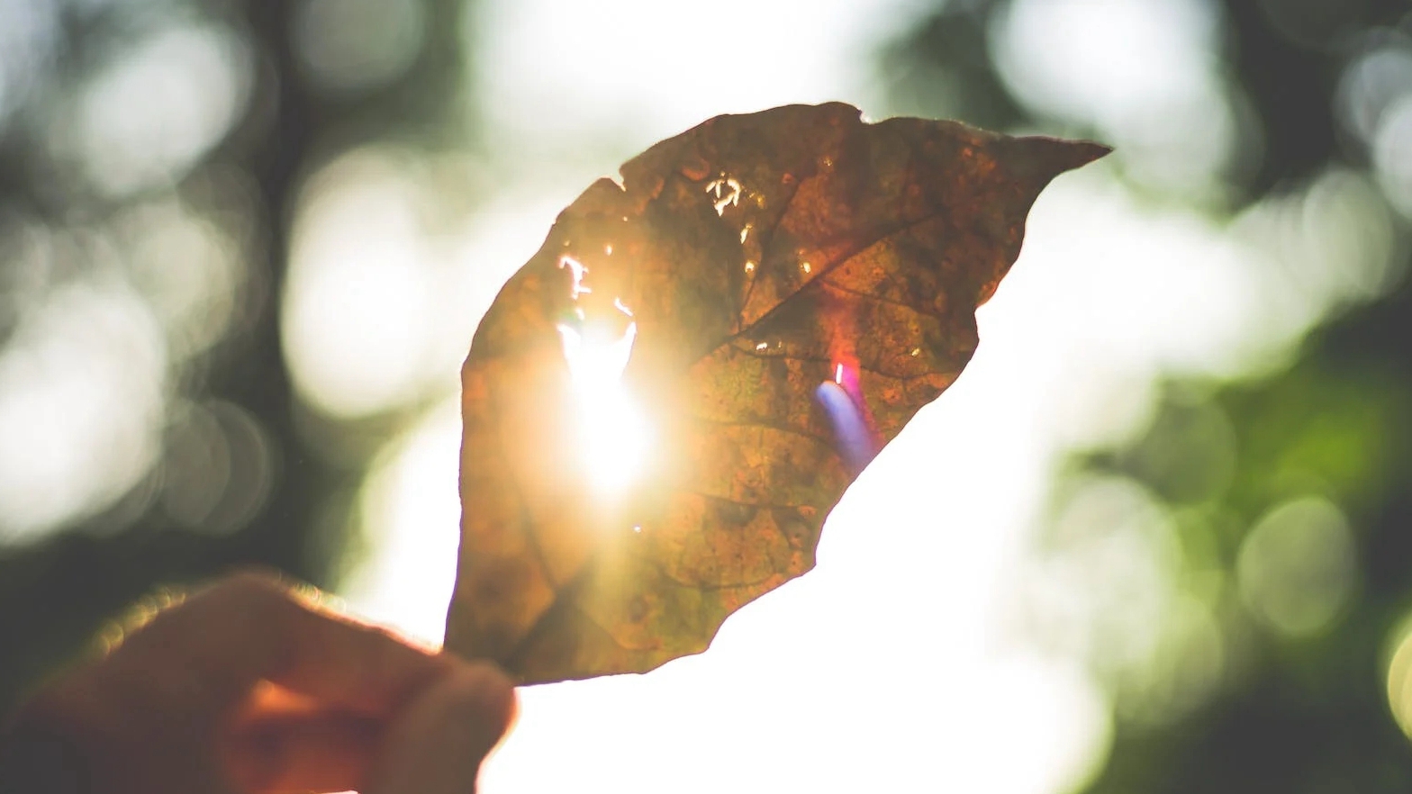 今起南方气温迎来反弹 河北河南等地偏暖程度同期少见