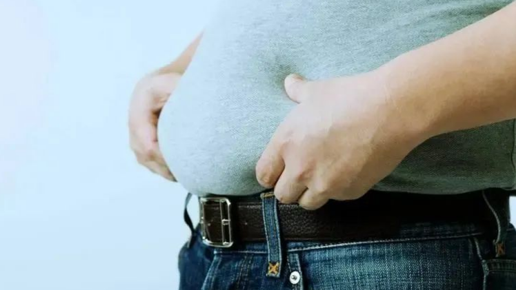 肚子越大，脑子越小？