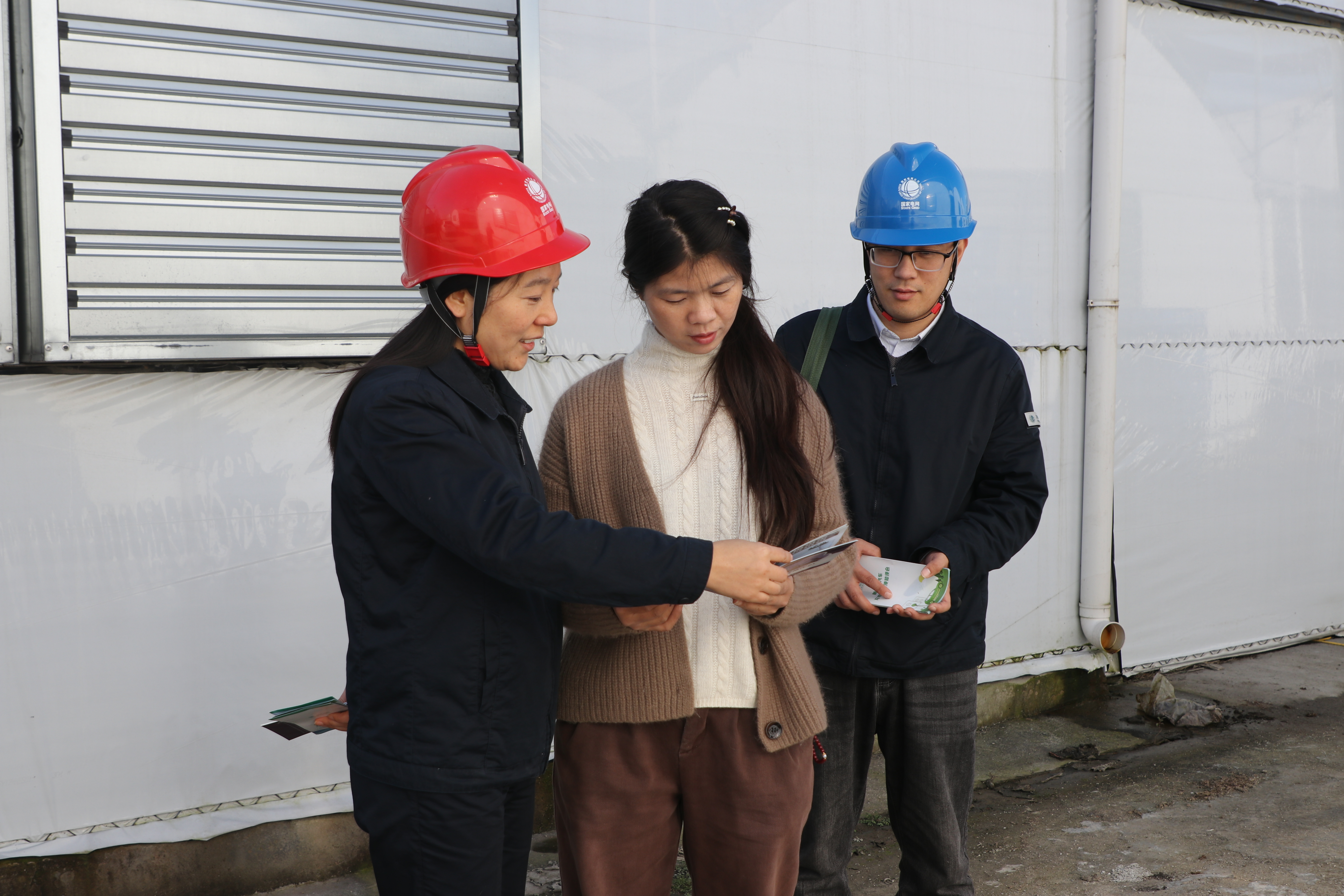 国网正阳县供电公司：安全宣传进村镇 筑牢用电安全网