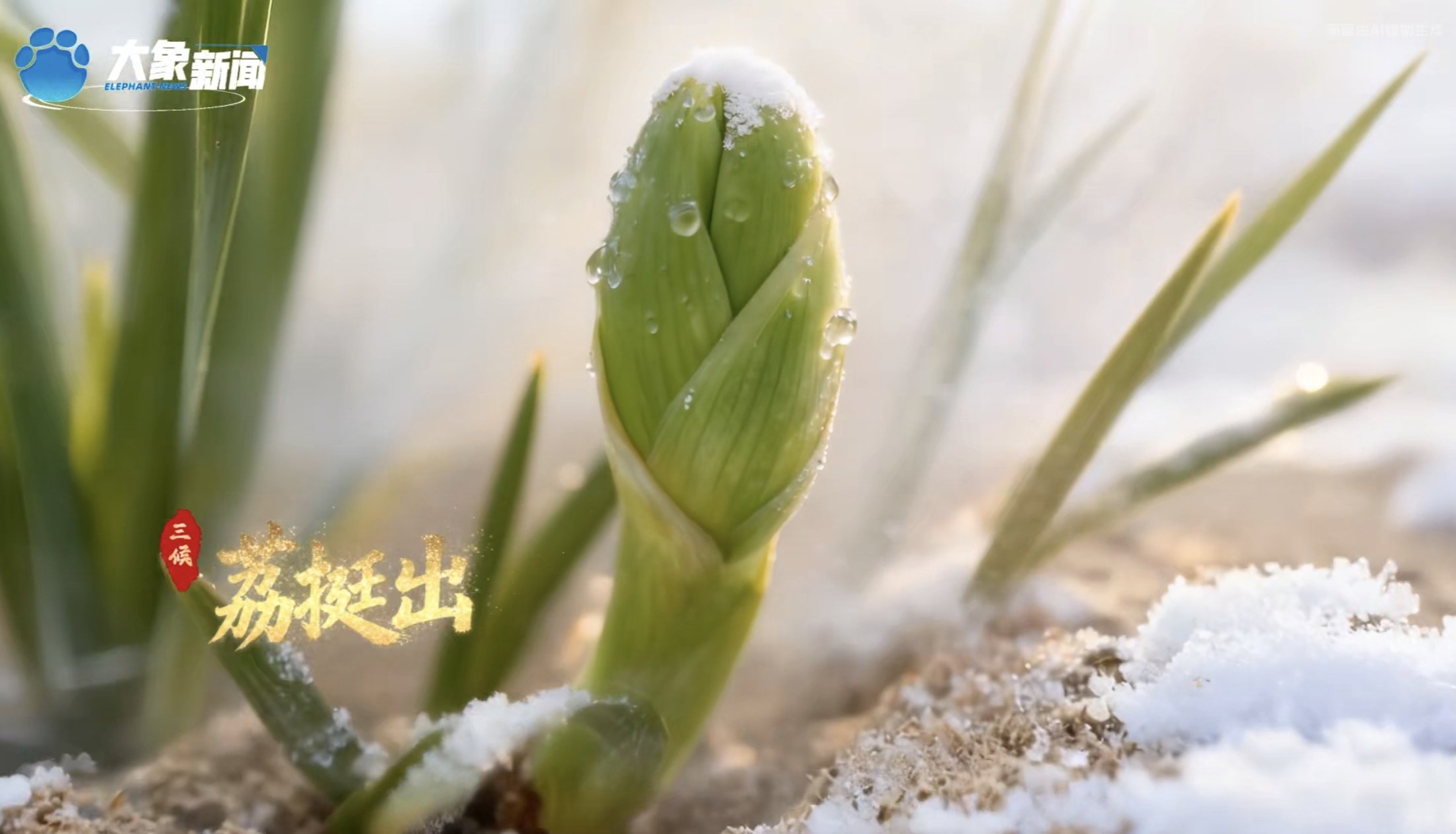 何以中國丨中國節(jié)氣·大雪