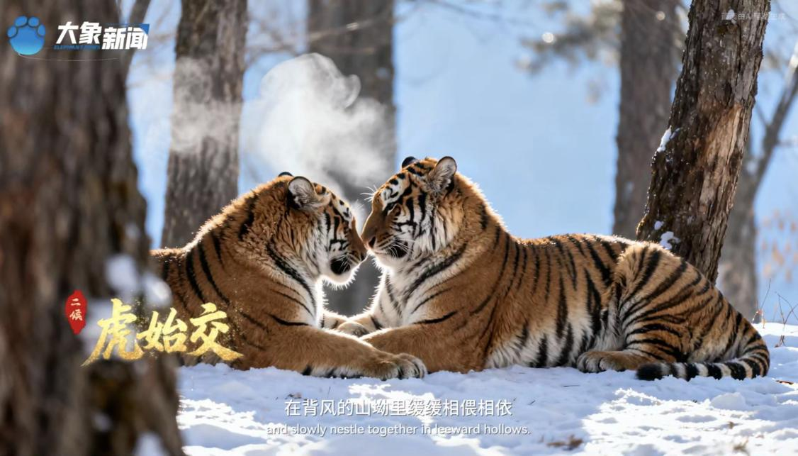 何以中國丨中國節(jié)氣·大雪