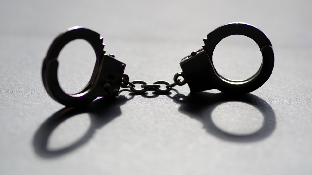 鄱阳湖流域疑有人毒害候鸟，警方通报