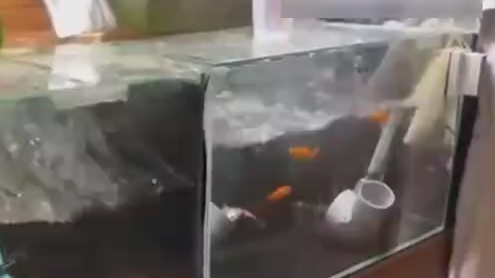 直击日本近海地震瞬间：多地摄像头剧烈晃动