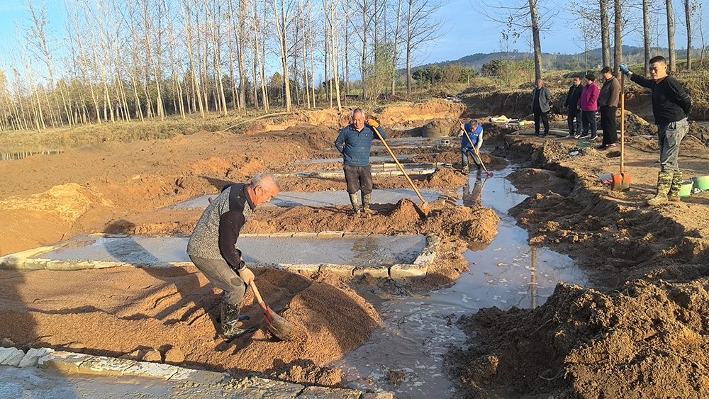 畅通“最后一公里” 以工代赈铺就小屯村振兴路