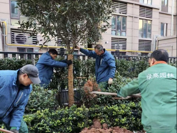 平顶山市卫东区：专项行动提升社区治理效能