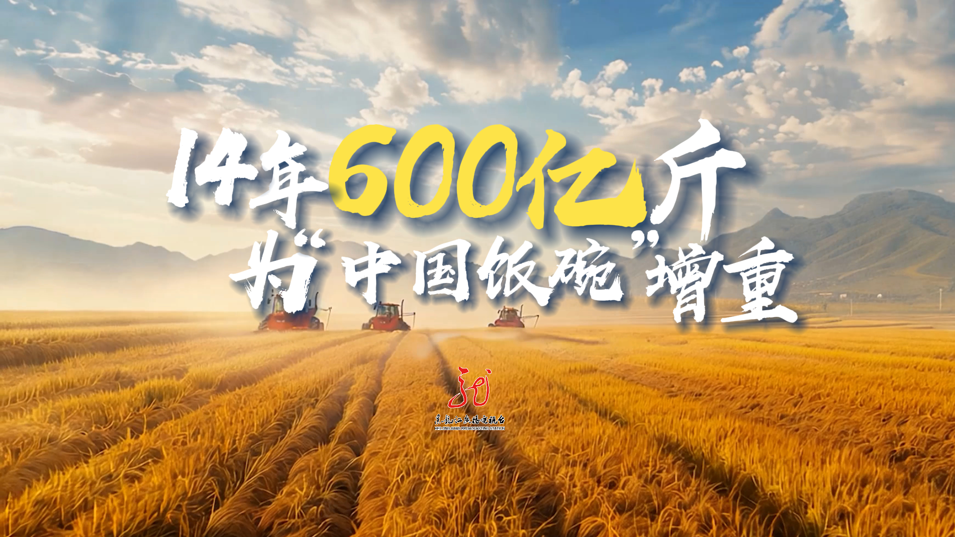 14年，600亿斤，为“中国饭碗”增重