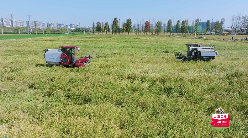 种地吧3第一期上