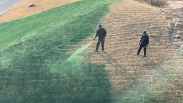 陕西一公园给草皮“喷绿漆”？当地回应