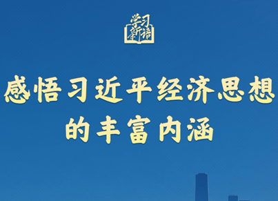 感悟习近平经济思想的丰富内涵