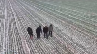 【央視關(guān)注河南鄭州】一線直擊：寒潮下的麥田“保衛(wèi)戰(zhàn)”