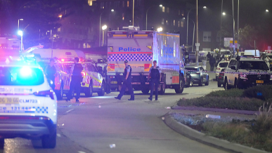 澳大利亚海滩枪击案两名嫌疑人曾宣誓效忠恐怖组织