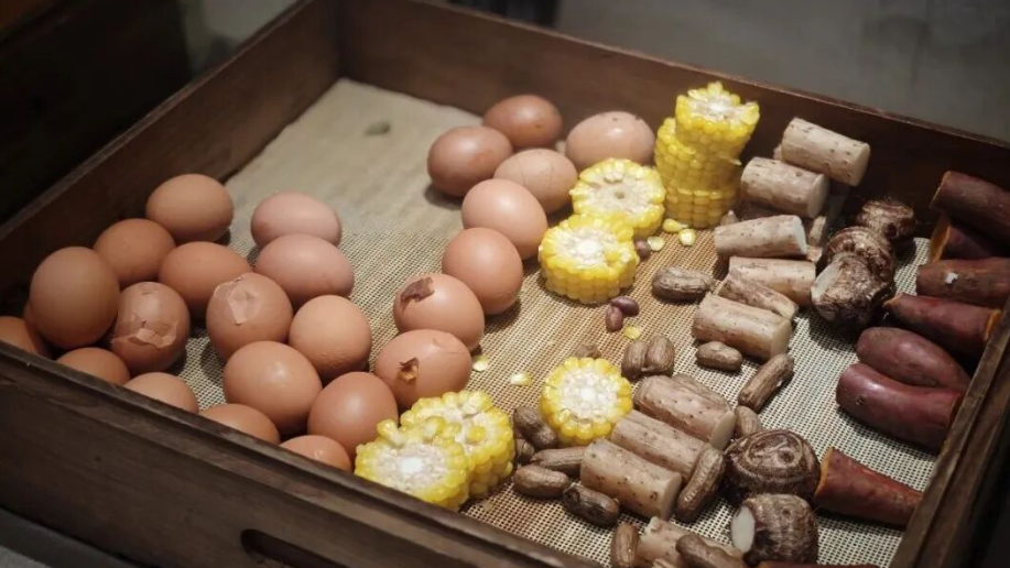 能抗衰老？研究发现：过了这个年纪保持饥饿，好处不请自来