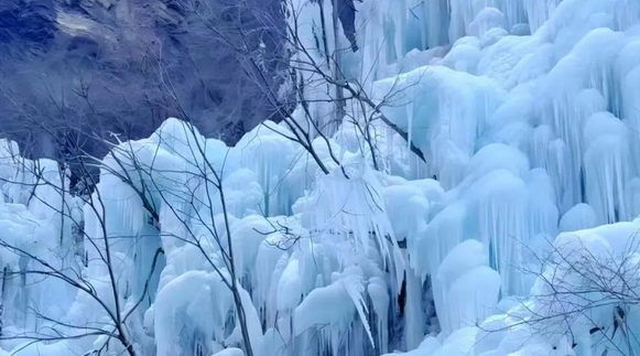 云台山景区发布公告：全国游客门票半价