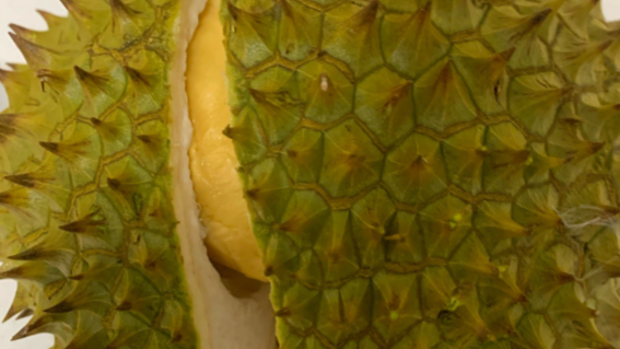 海南封关首日1.5吨榴莲1小时被抢空！市民抢购热情高涨