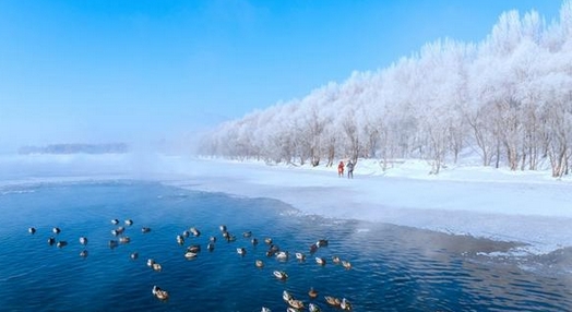 沙漠也有雾凇？全国雾凇地图出炉 四大场景解锁别样冰雪奇缘