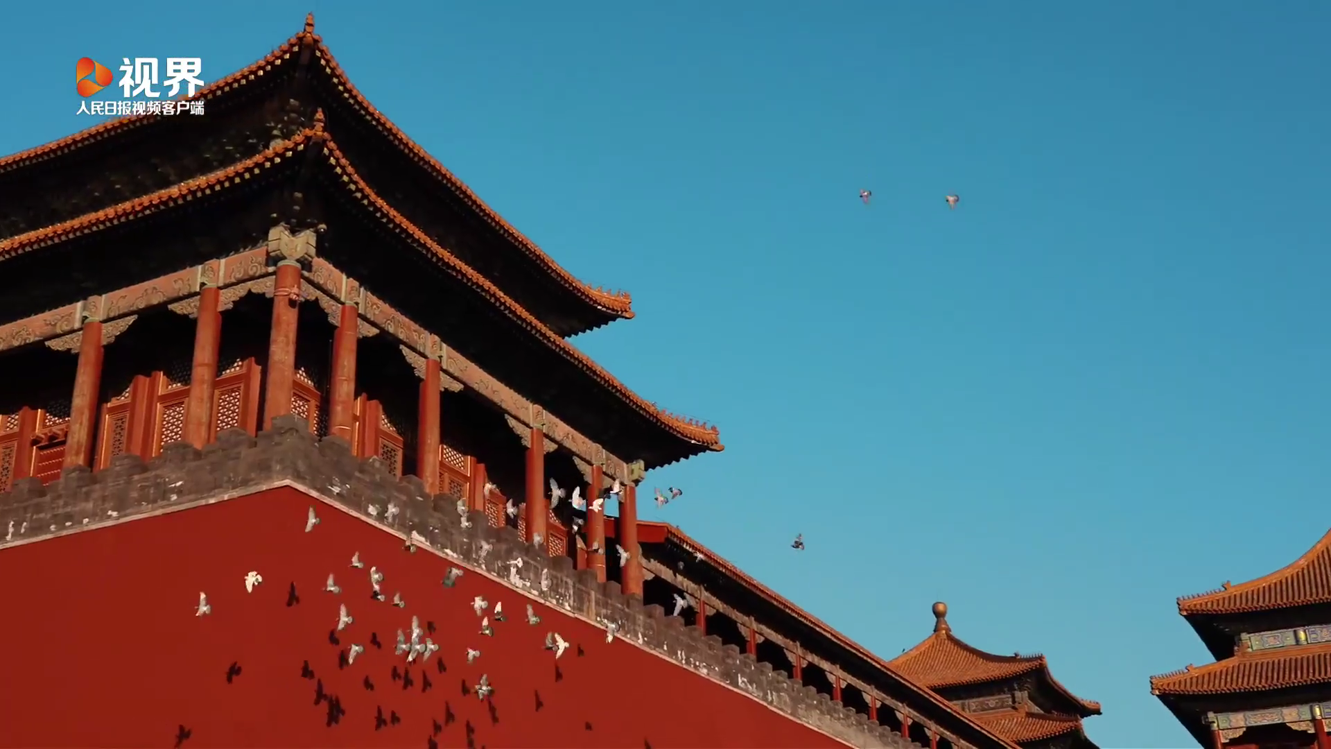 冬日暖阳里的故宫氛围感绝了