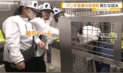 日本动物园搞出“神操作”：让人扮大熊猫供游客体验