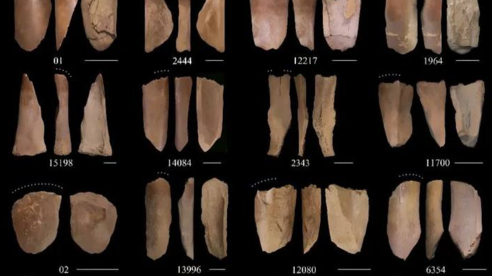 “我们从哪里来”？有了新答案！