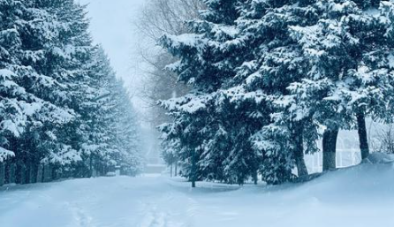 暴雪+道路结冰！河南双预警齐发