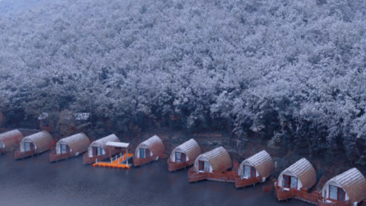 雪停，但河南更冷了！元旦假期连晴3天，最低温直逼-10℃