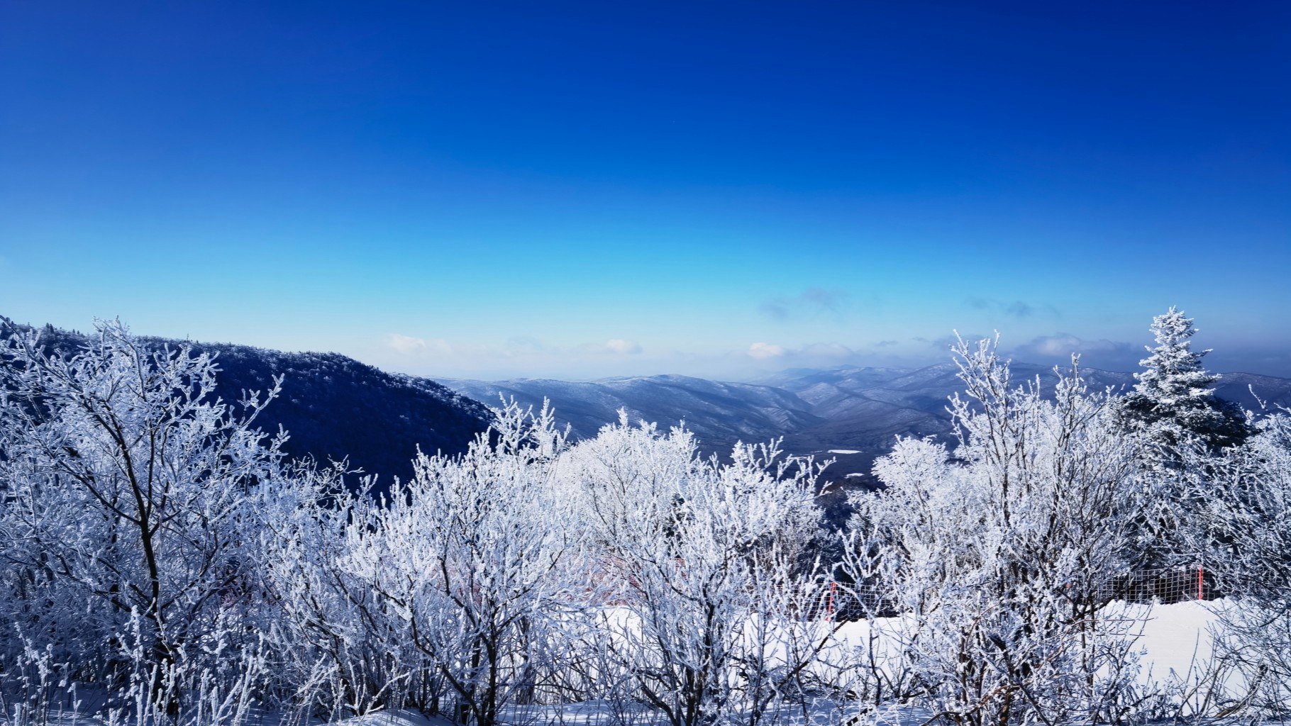 冷冷冷冷冷冷元旦冷冷冷冷冷冷