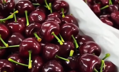 “水果贵族”价格大跳水，车厘子跌破1元一颗