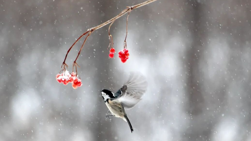 2026年第一个！今天16时23分，来了