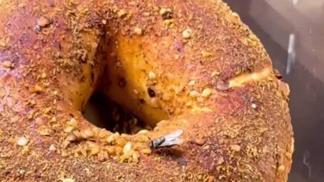 顾客提醒面包上有苍蝇 店员反问“拍照没”？