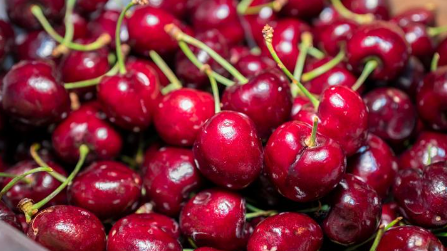 车厘子能助眠？专家：褪黑素含量低，想达到至少吃300公斤