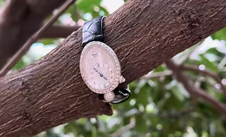 女子丢失30万镶满钻的名表！6天后发现竟被一直挂在树上