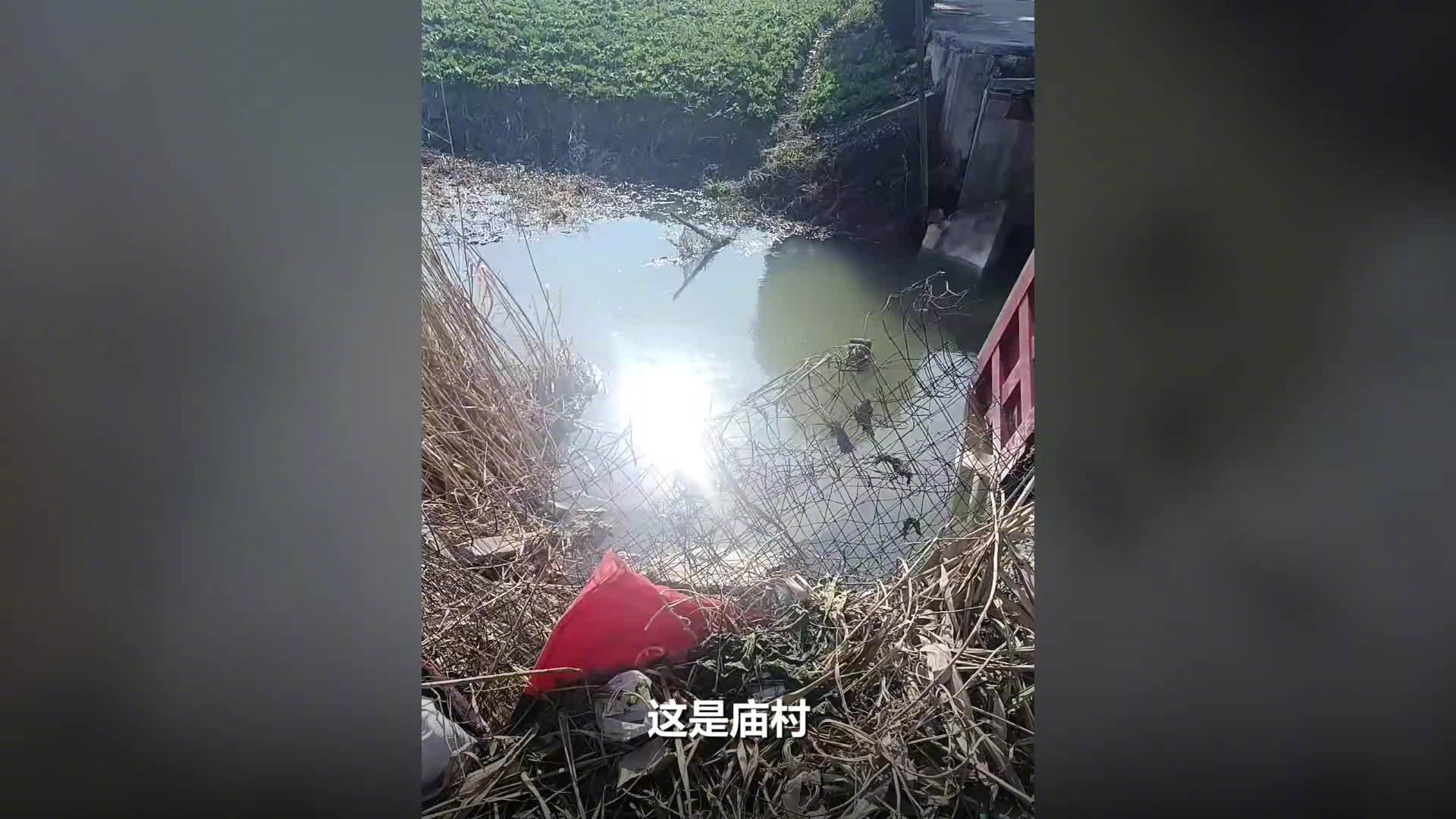 写了危桥还往上开 大货车将桥压塌