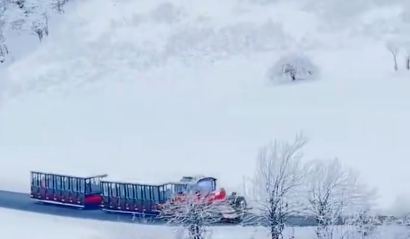 今天，是三九的第一天～最冷的时候到了